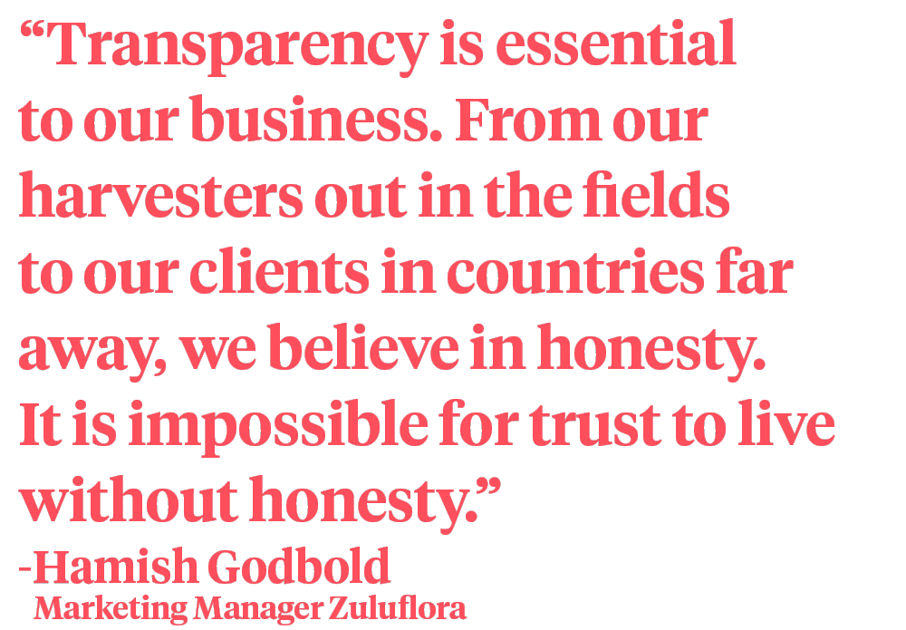 Hamish Godbold Zuluflora quote transparency on Thursd