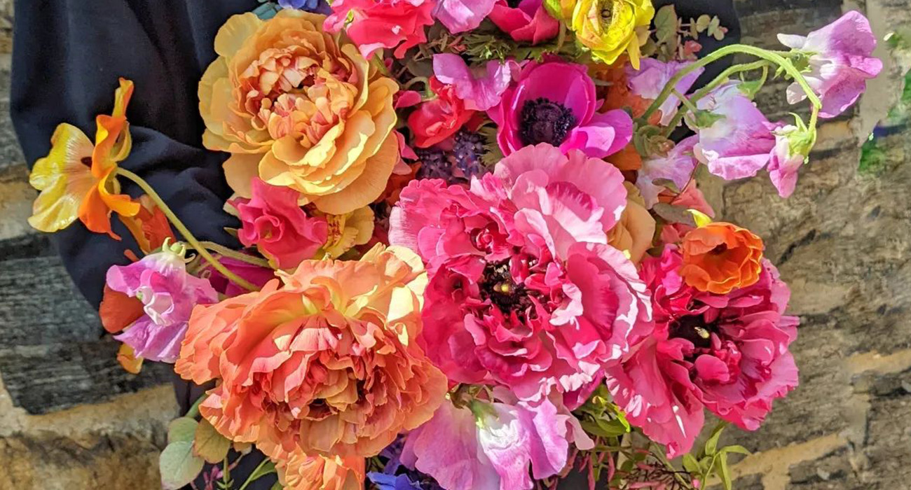 Wild Floral Designs Florist on Thursd header
