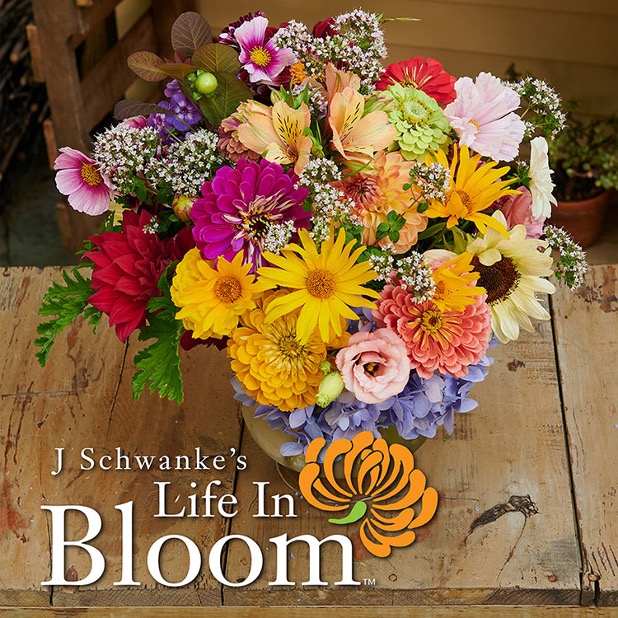 Life In Bloom Marathons vase