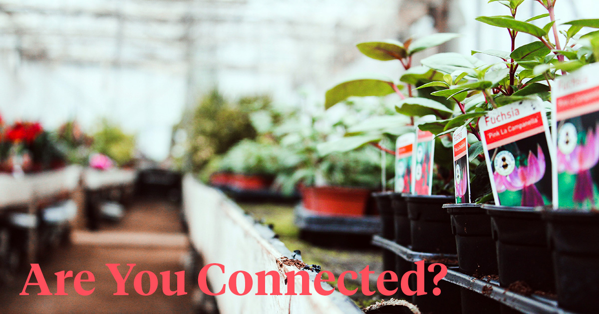 How Floral Industry Wholesalers and Distributors Can Create and Engage P...