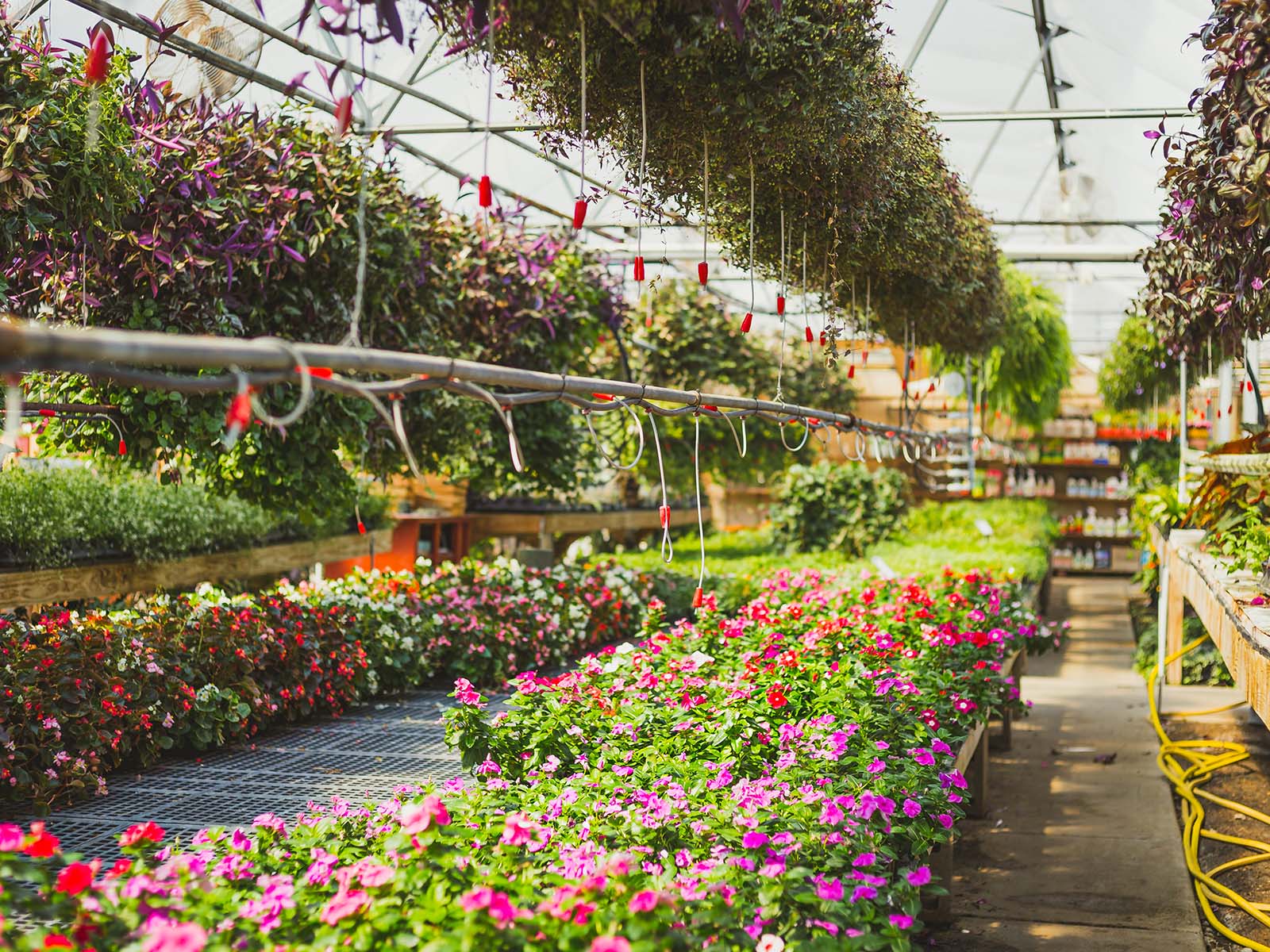 How Floral Industry Wholesalers and Distributors Can Create and Engage P...