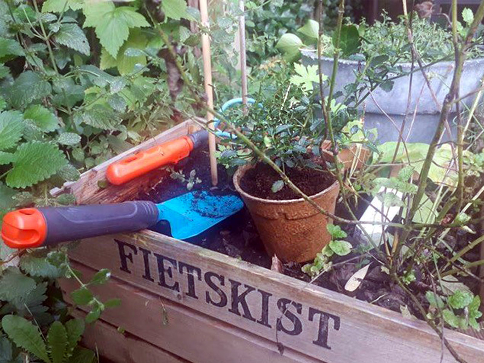Plantics Fietskist - on Thursd