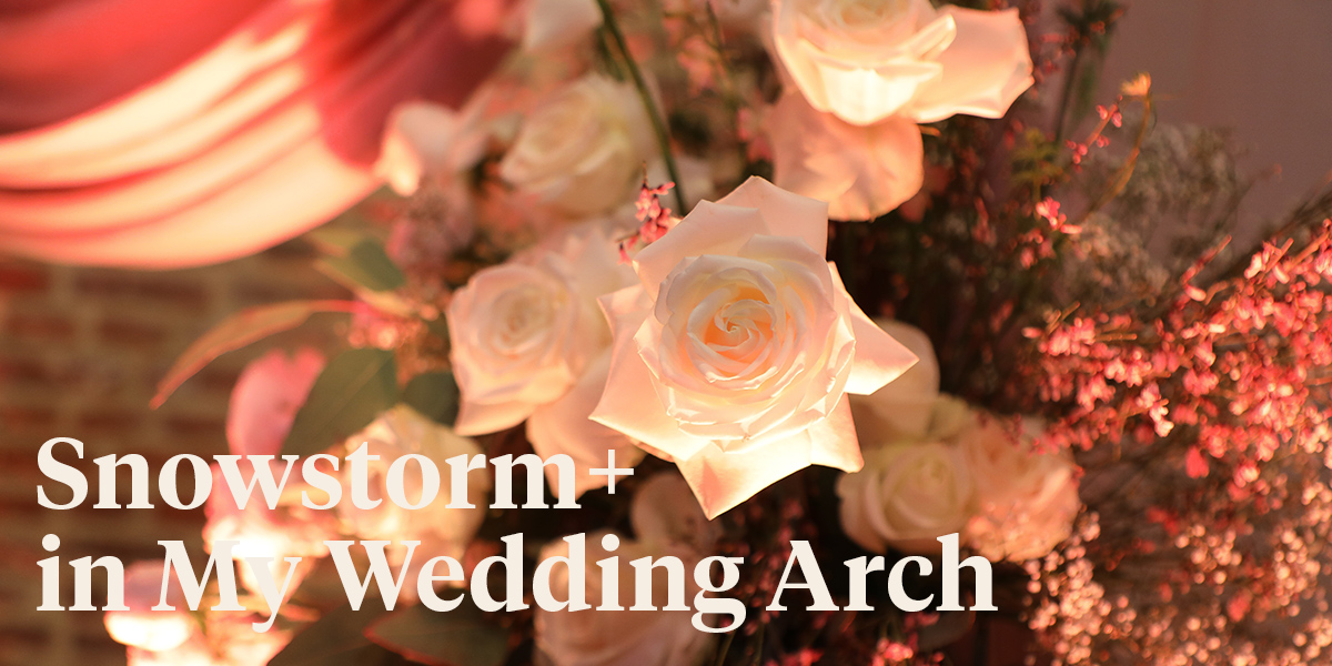 Rose Snowstorm Excels on Weddings header - on Thursd