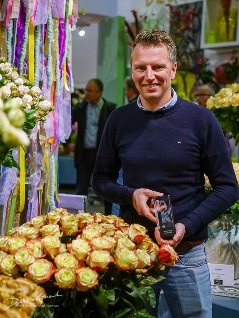 Award-Winning Fairy Queen Rose at Keukenhof Awards - Decofresh