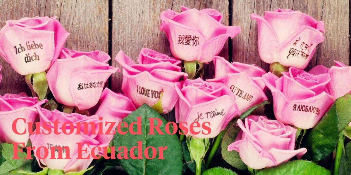 header Jet Fresh and Speaking Roses - Taking Roses to a New Level