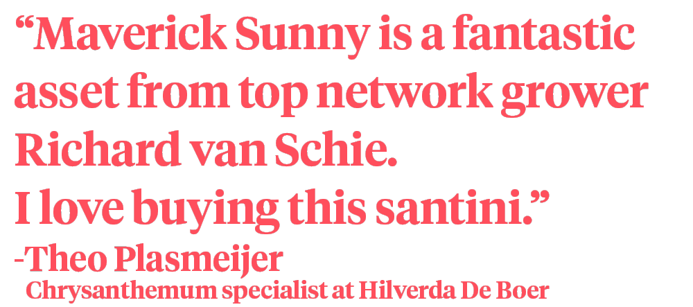 Theo Plasmeijer Hilverda De Boer about Santini Maverick Sunny - quote on Thursd