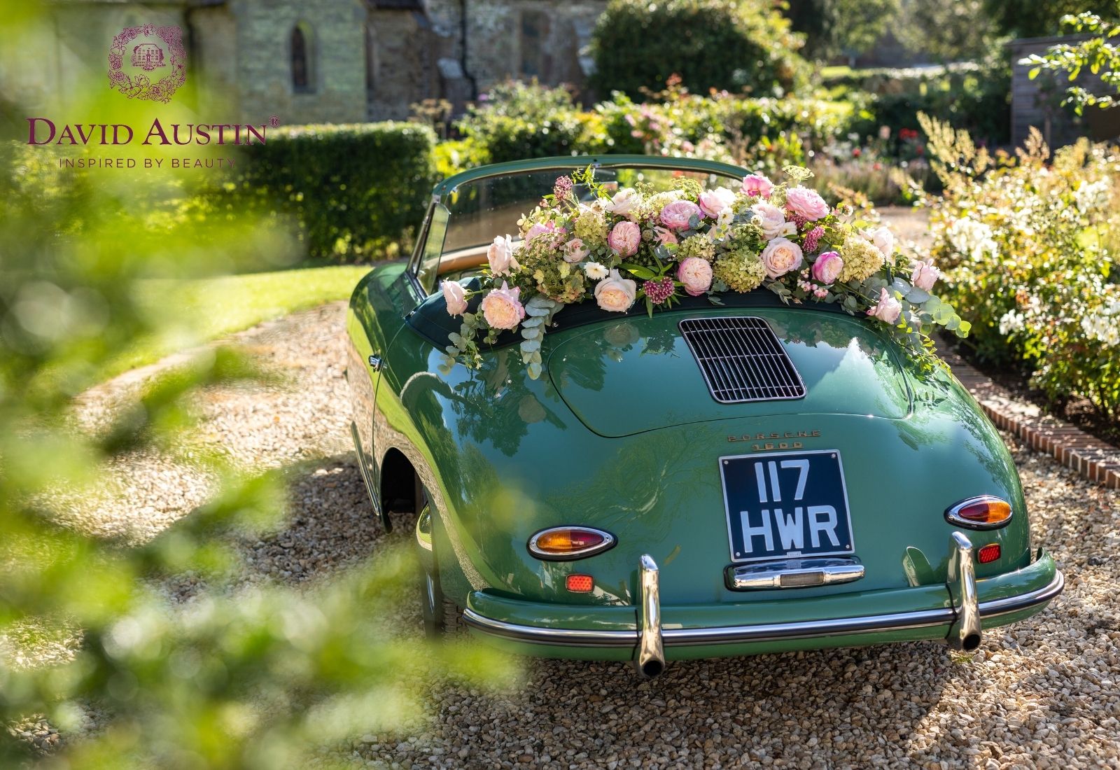 David Austin Wedding & Event Roses- on Thursd - Car