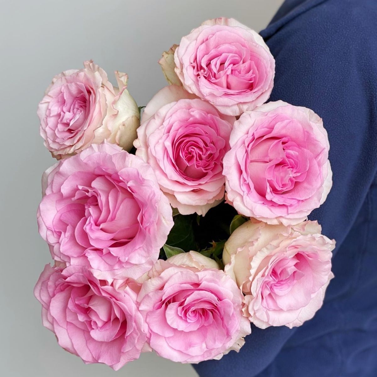 these-9-pink-roses-from-de-ruiter-are-favorites-to-celebrate-mothers-day-2022-featured