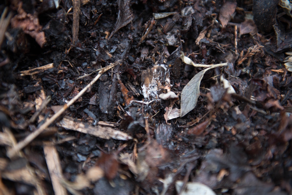 Composting - Sustainable Living on Thursd