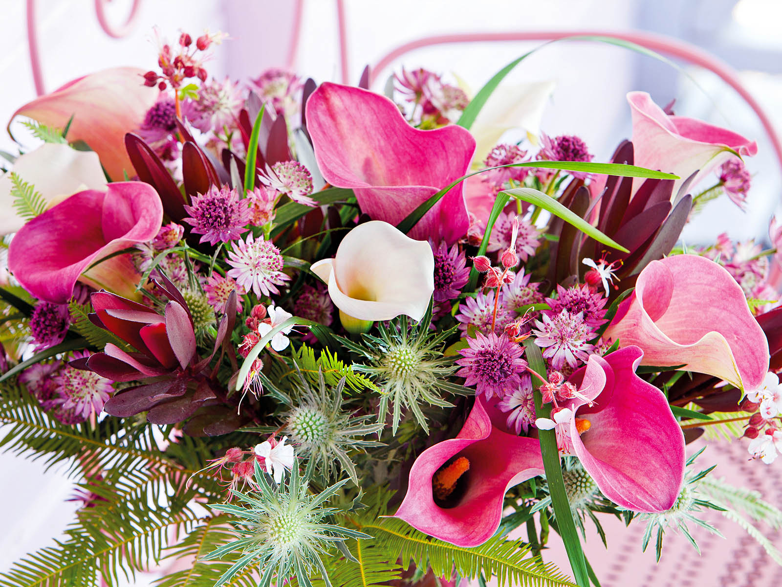 Pink Calla Astrantia Eryngium Bouquet - on Thursd