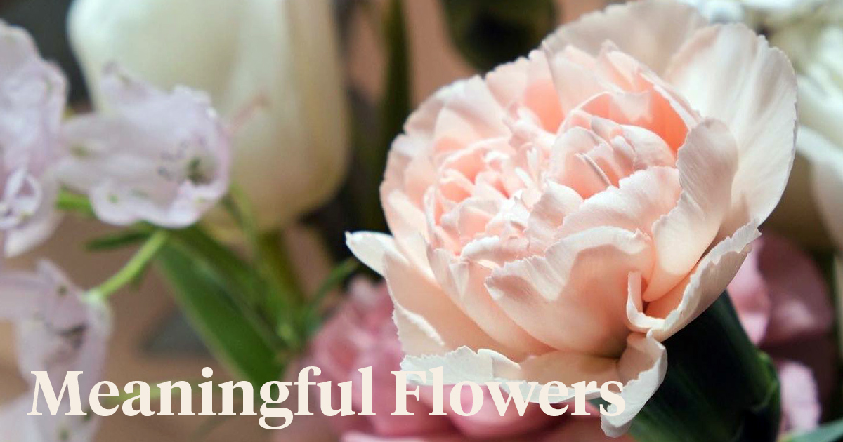 Mother's Day Flowers Which Flowers Do you Give to Your Mother? A...