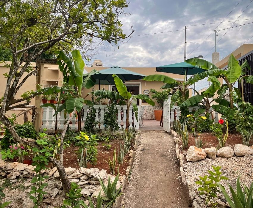 Carolin Cacao Cafe & Gelato - view from the garden to the restaurant - on Thursd.