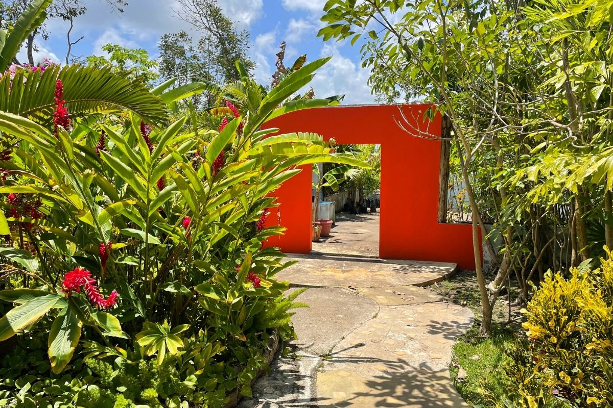 Travel tip plant lovers - Casa Kin33 Cancun - on Thursd