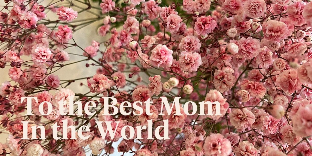 Header - 10 of the Best Flowers and Their Characteristics for Mom - on Thursd