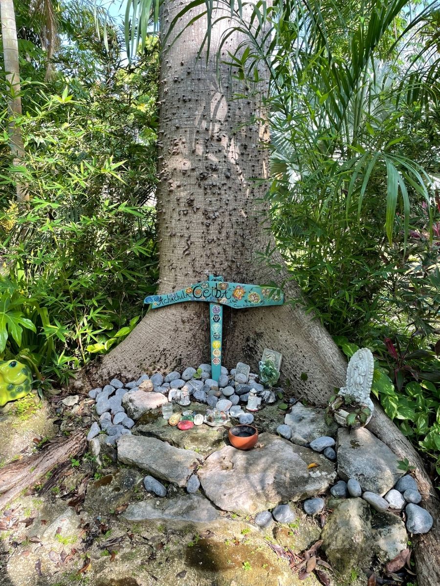 Casa Kin 33 in Cancun - dog grave - on Thursd