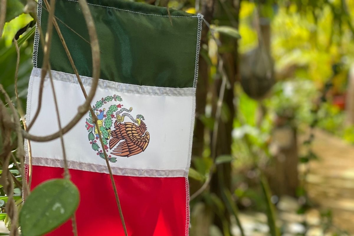 Mexican Flag - on Thursd