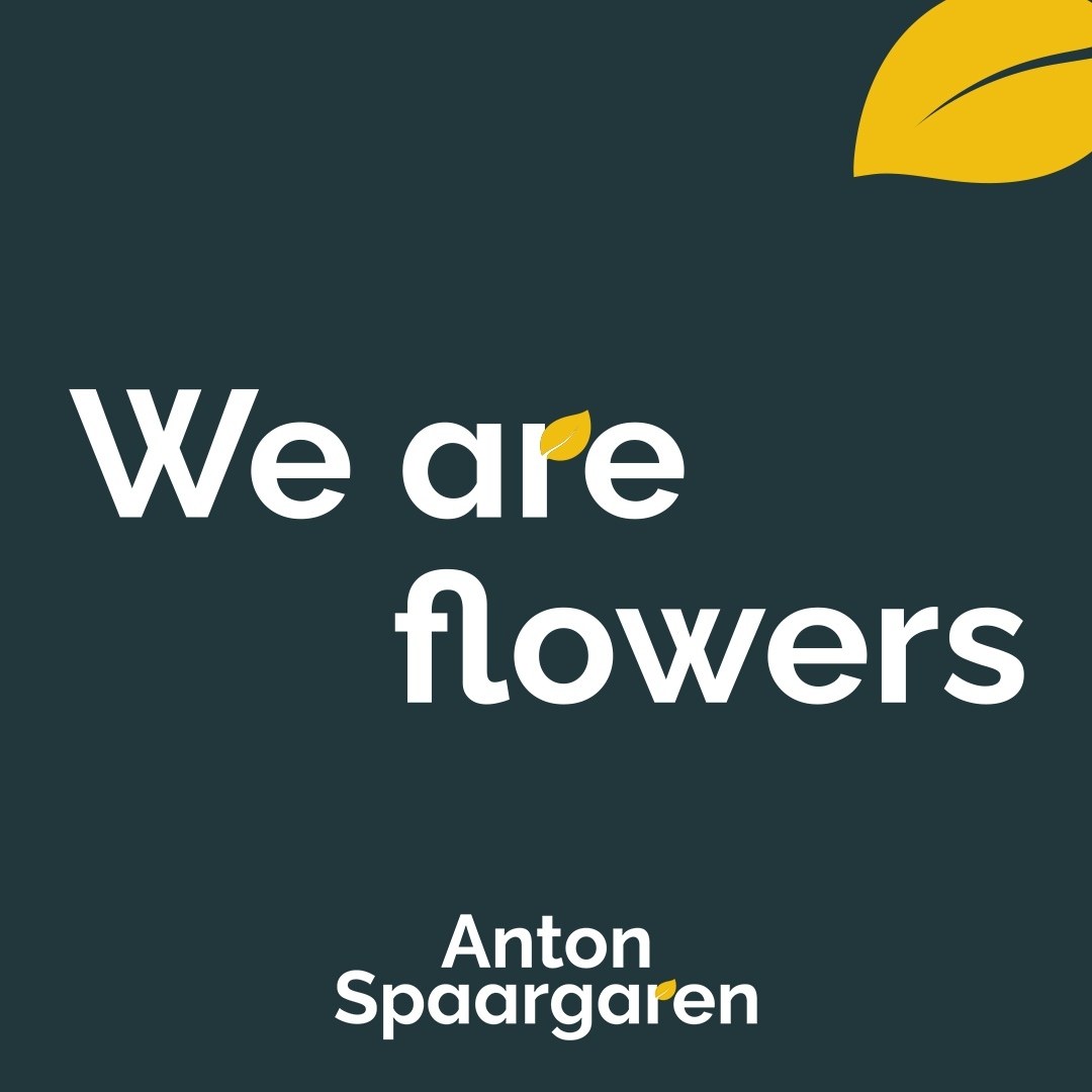 Anton Spaargaren We Are Flowers - on Thursd