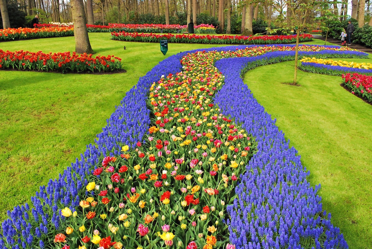 Botanical gardens of Keukenhof Netherlands - on Thursd