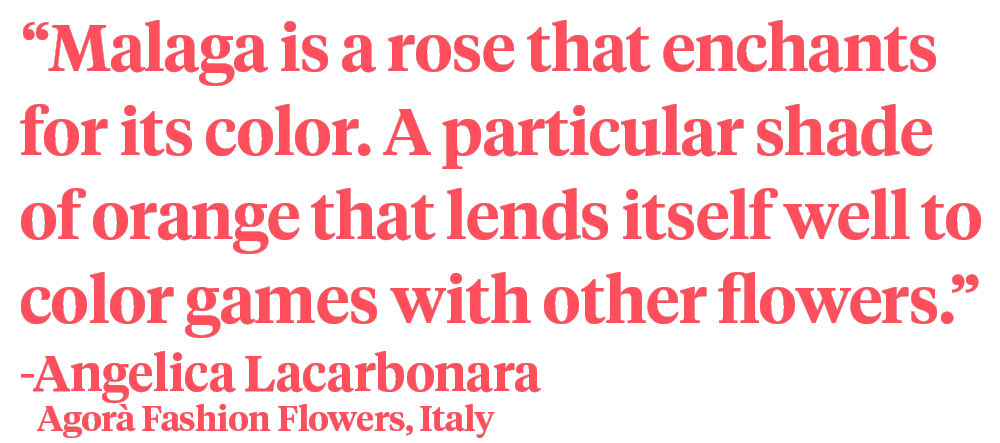 Angelica Lacarbonara Rose Malaga quote on Thursd