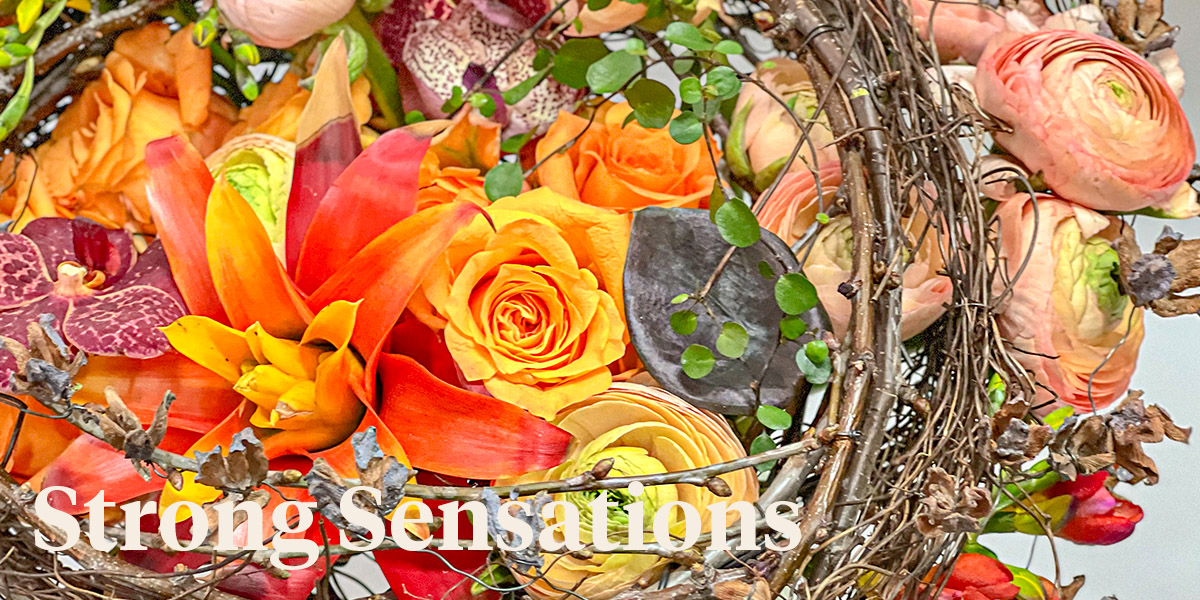 What Do Floral Designers Say About the New Rose Malaga header on Thursd