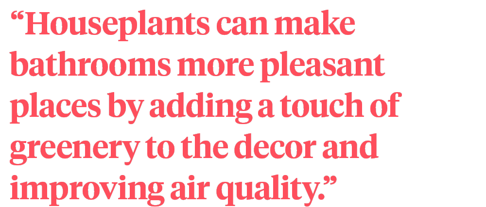 quote houseplants- article on thursd