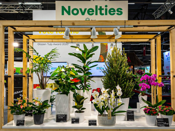 What to See and Do in the Coming Horti Week - FHTF