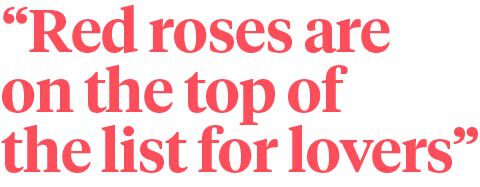 Revealed These Are the 10 Best Red Roses to Give on Valentine's Day - red roses quote - valentine's day on thursd