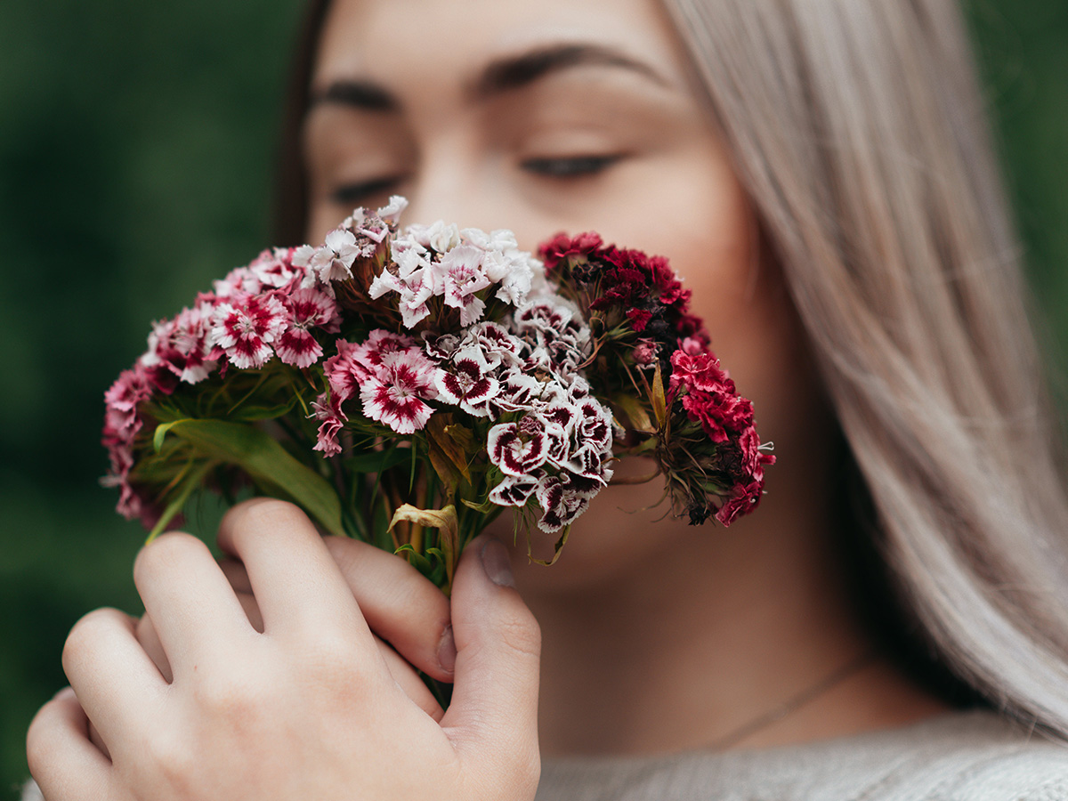 Dianthus Barbatus Mix girl smelling - on Thursd