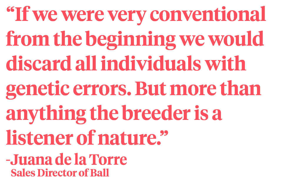 Juana de la Torre of Ball quote on Thursd