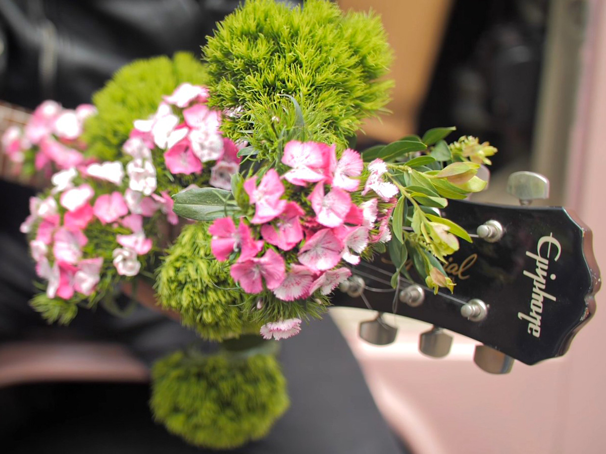 Dianthus Barbatus Punky Ball in the Ball video on Thursd