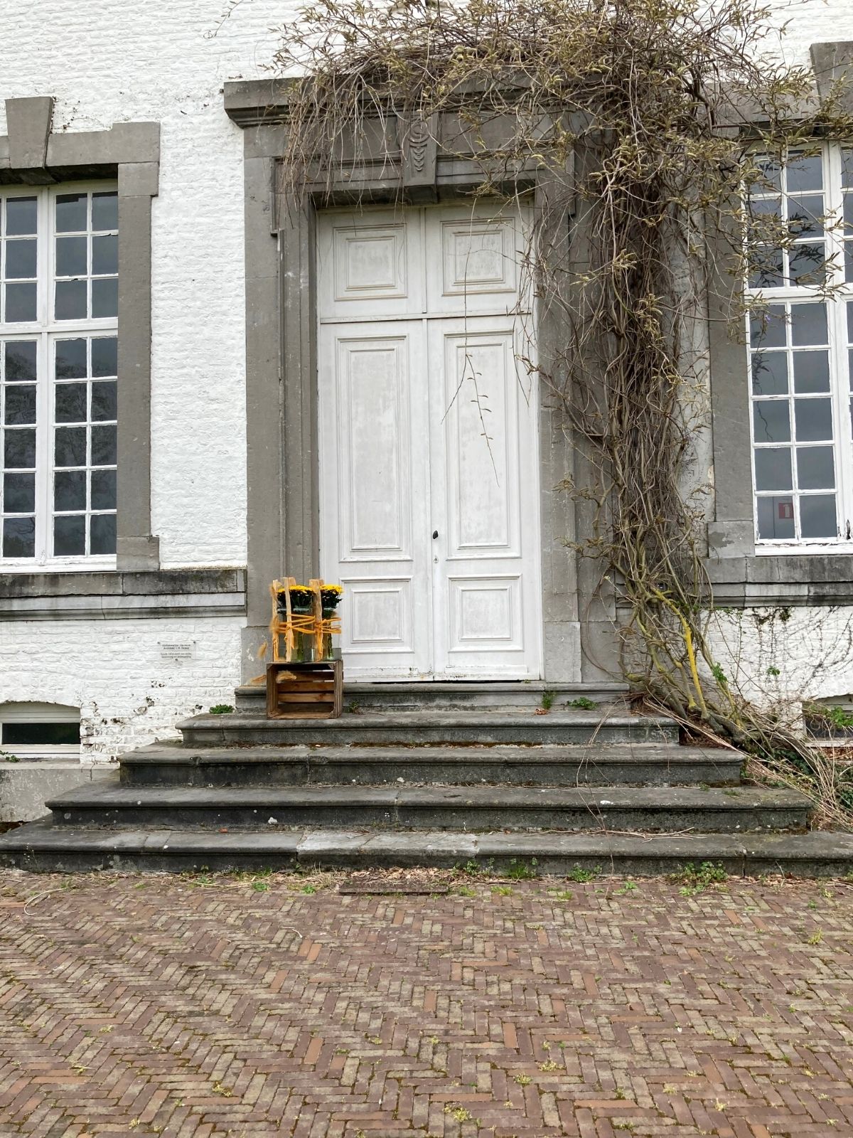 An entrance with three glass vases with Chrysanthemum Santini Maverick Sunny from Floritec - on Thursd