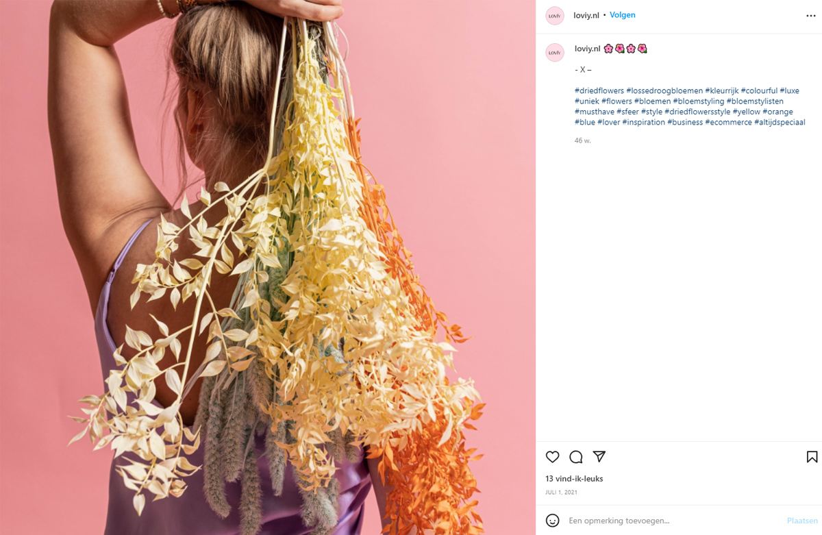 Dried-flower-instagram-community-Lovíy on Thursd