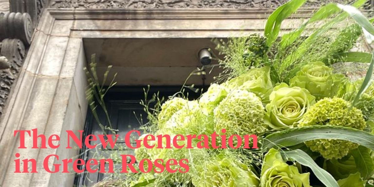 Rosa Green generation -  on Thursd - Header