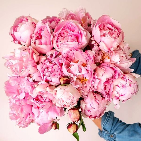 The Most Symbolic Flowers for a Baby Shower - Article onThursd