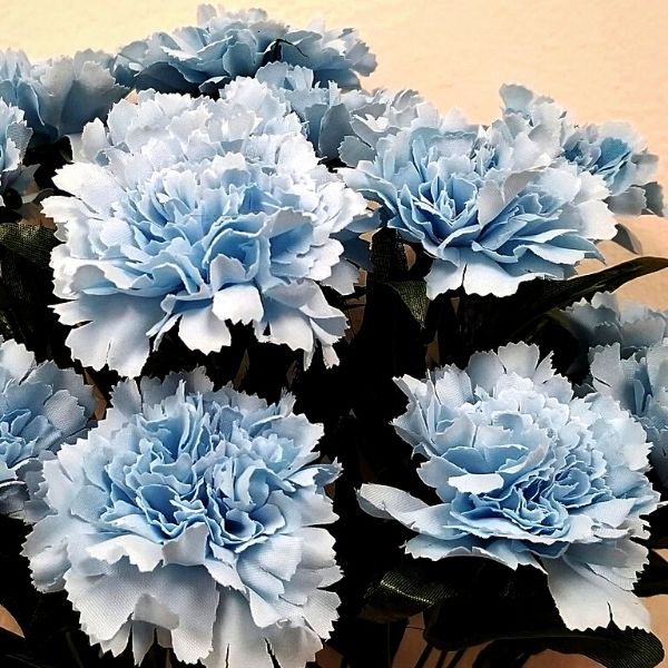 Baby blue carnations perfect flowers for baby showers- on Thursd 