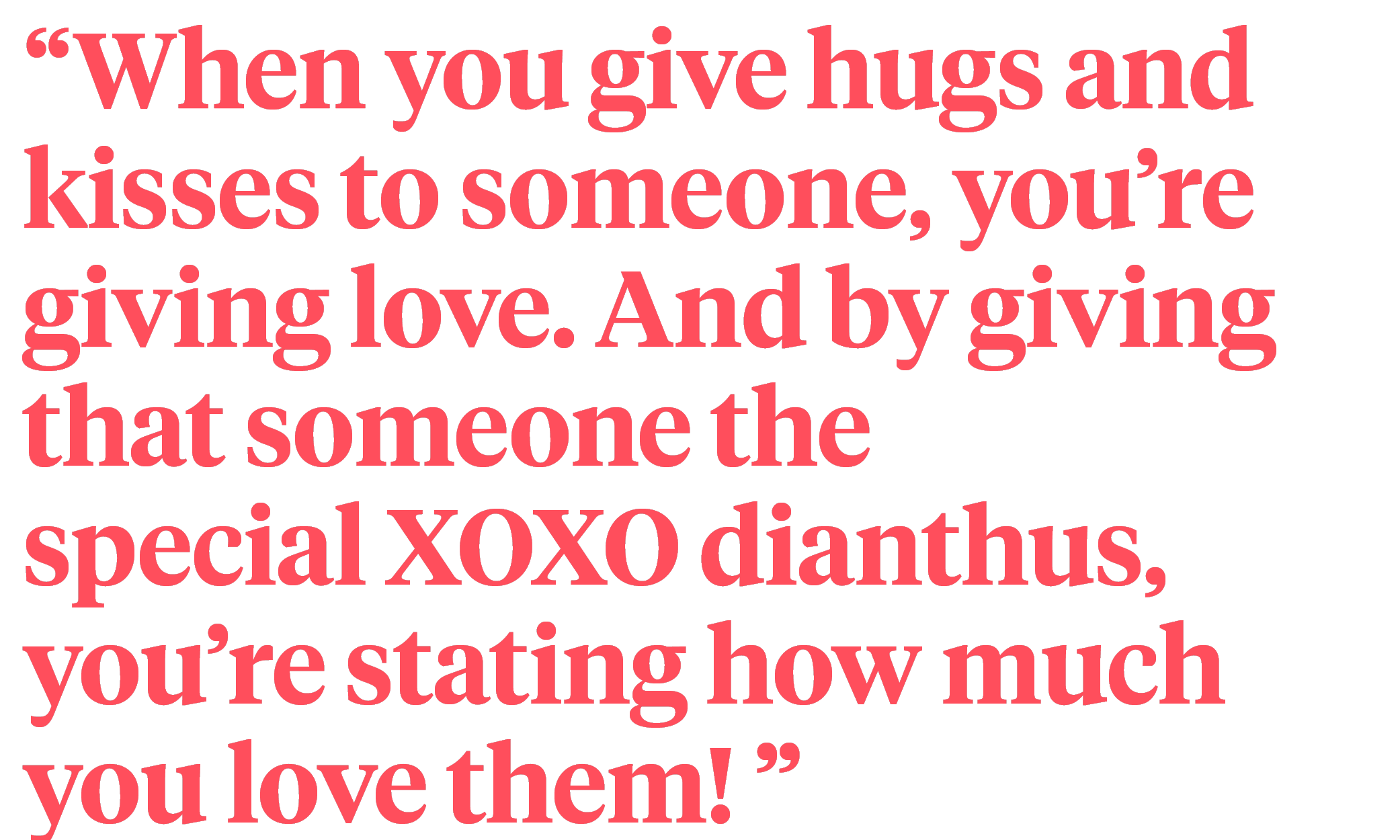Dianthus XOXO® quote