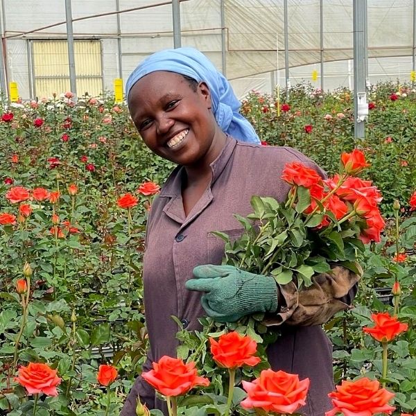 Kenya's Big Five Rose Quality-on Thursd