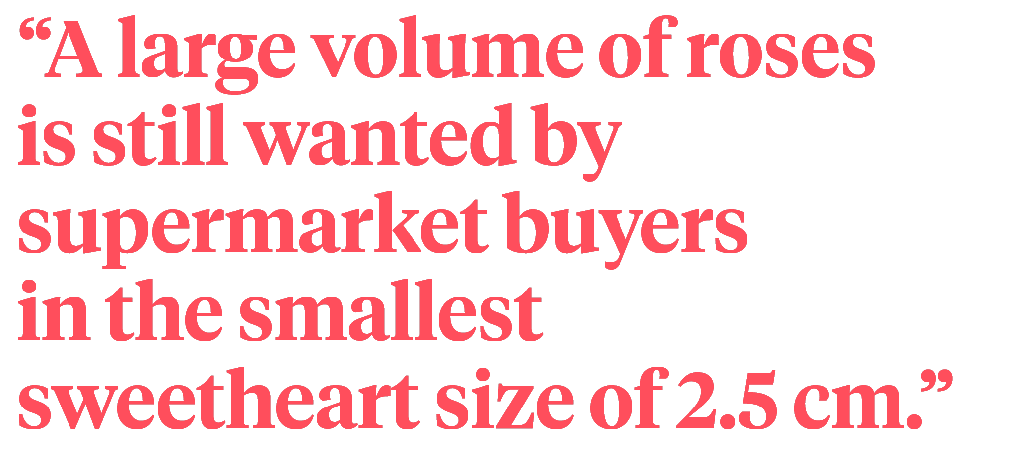 quote 4 most common rose sizes