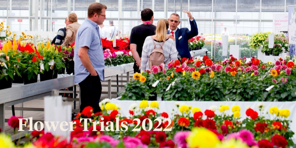 See All Novelties and Creative Concepts From Pot and Bedding Plant Breed...