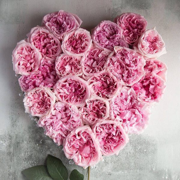Rose heart with pink roses - The meaning of Pink roses