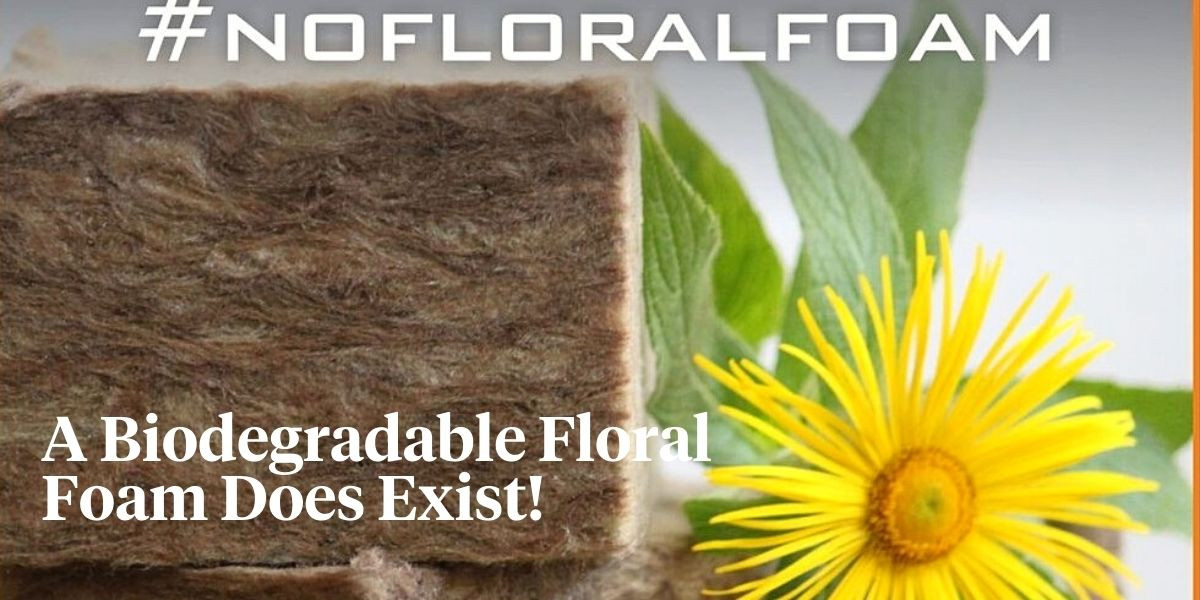 The More Sustainable, the Better — Meet AgraWool's Biodegradable Flor...