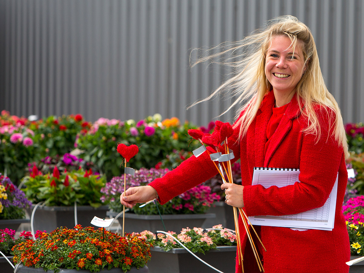 Beekenkamp Flower Trials 2022 - on Thursd