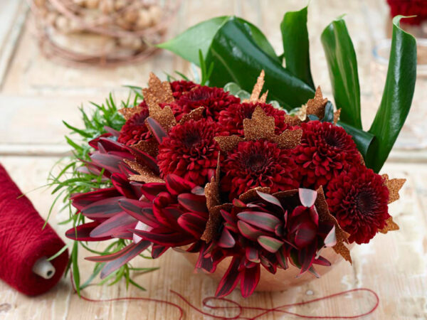 Red Chrysants for Valentine? Of Course!