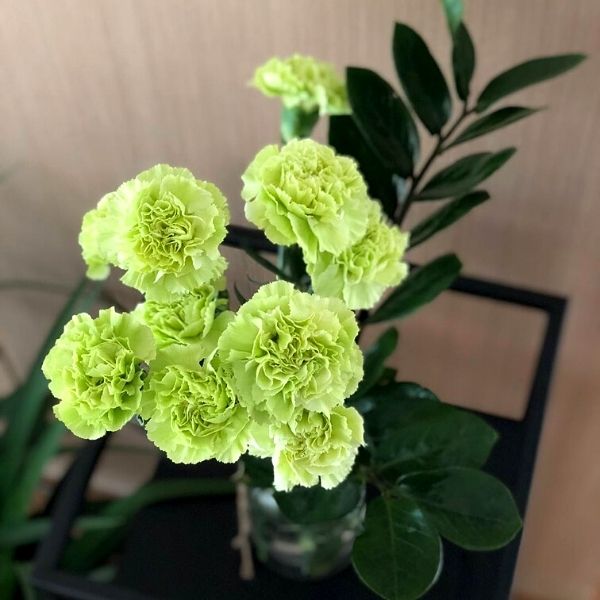 Green Carnations- on Thursd 