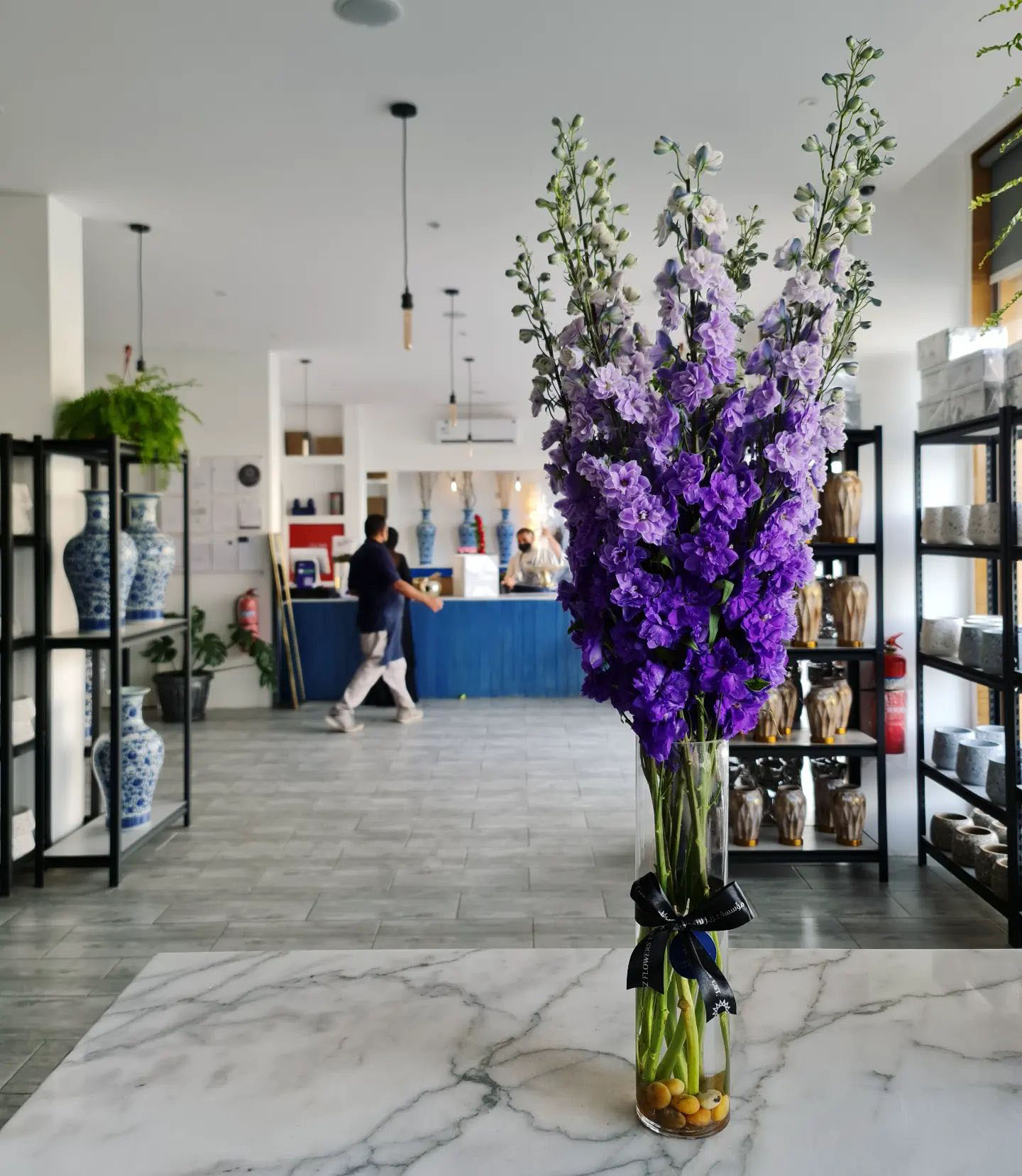 Delphinium Purple in Office - on Thursd.