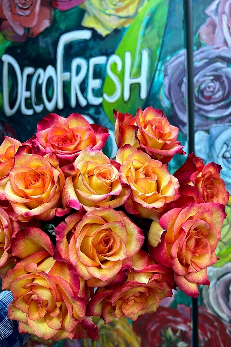 Rose Summerfield at Decofresh on Thursd