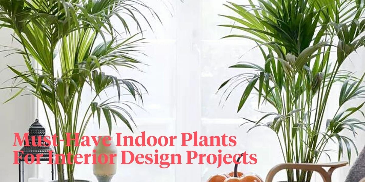 6 Plants That Will Enhance Your Interior Design Projects