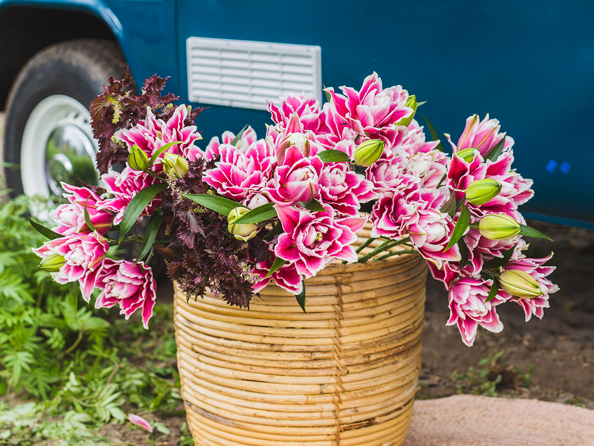 Roselily basket Atelier Rodette on Thursd