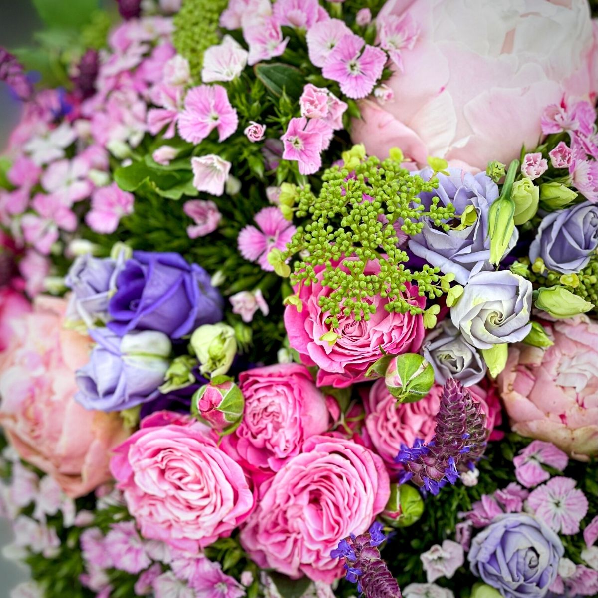 Dianthus Amazon Rose Magic close - floral design by Mateusz Wasak