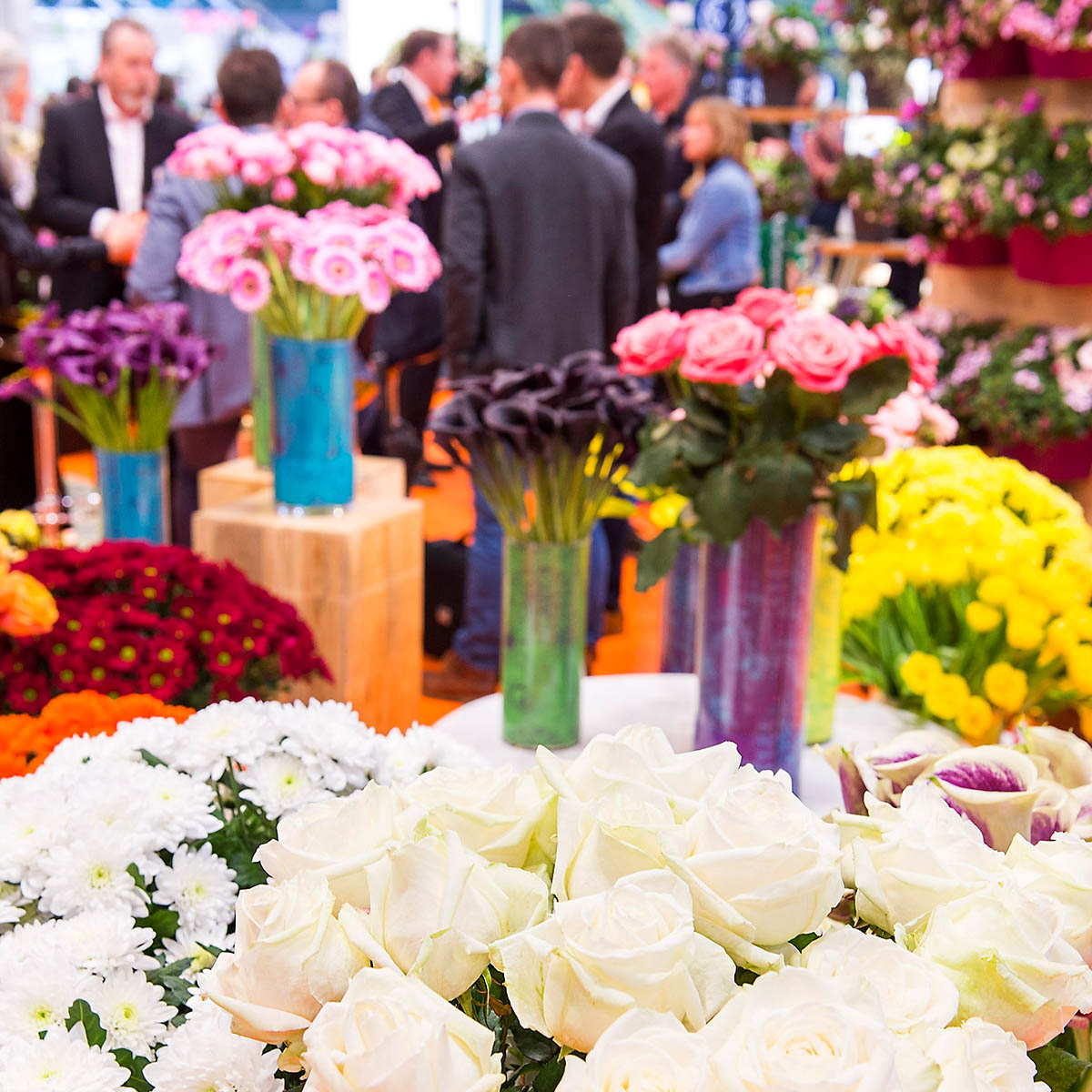 IPM Essen Summer Edition 2022 article-  feature on Thursd